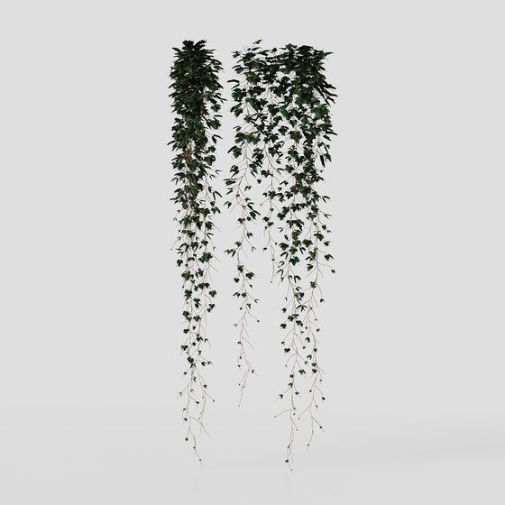 植物のシェルウォール