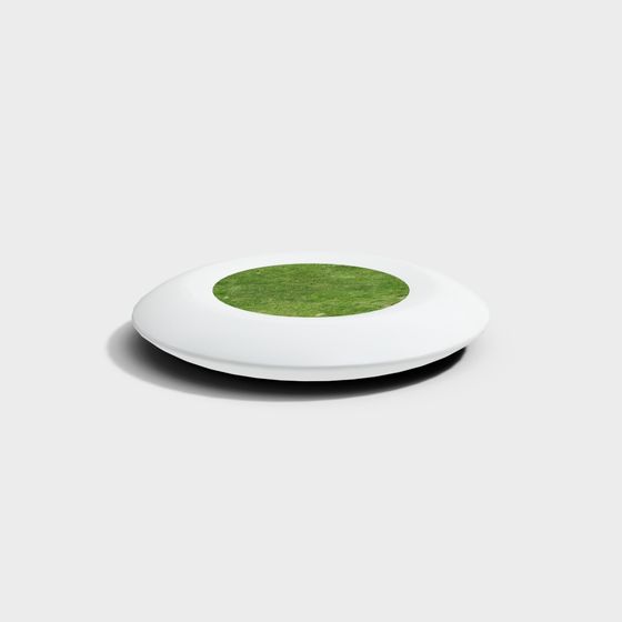 Grass Frisbee 3D model