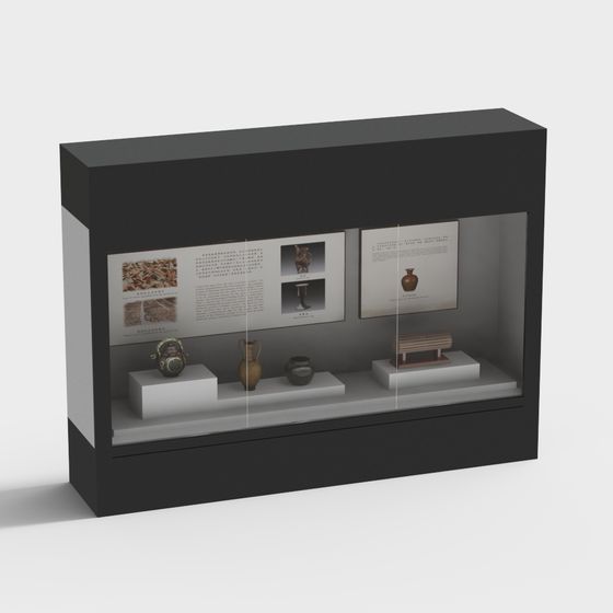 Museum Display Case 3D model