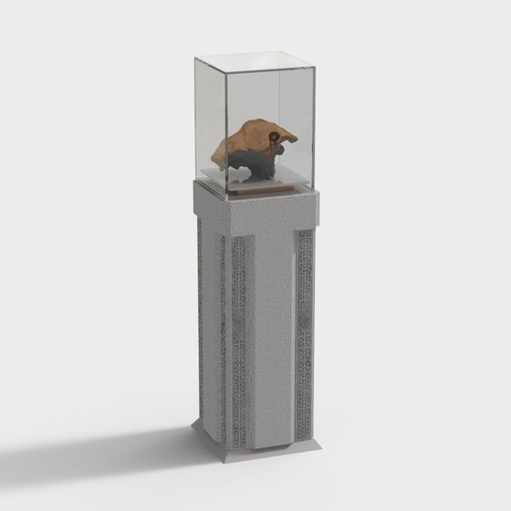 Museum Exhibit Stand 3D model