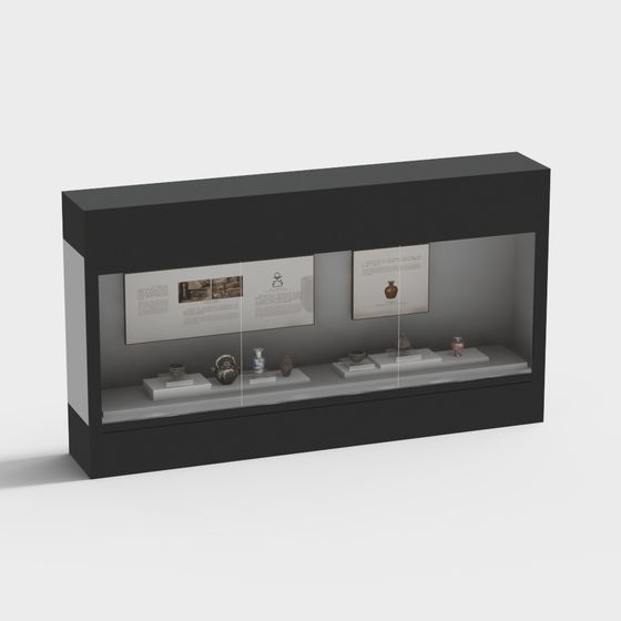 Unique Museum Display Cabinet 3D model
