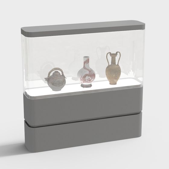 Museum Display Cabinet 3D model