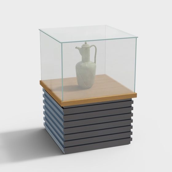 Museum Exhibit Display Case 3D model