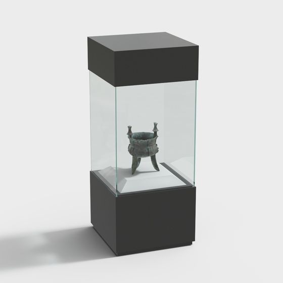 Museum Display Cabinet 3D model