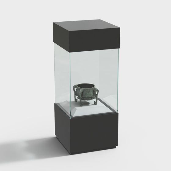 Elegant Museum Display Case 3D model