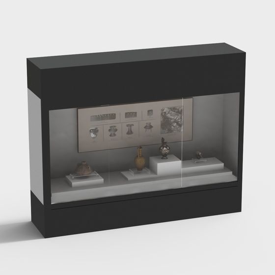 Museum Display Cabinet 3D Model