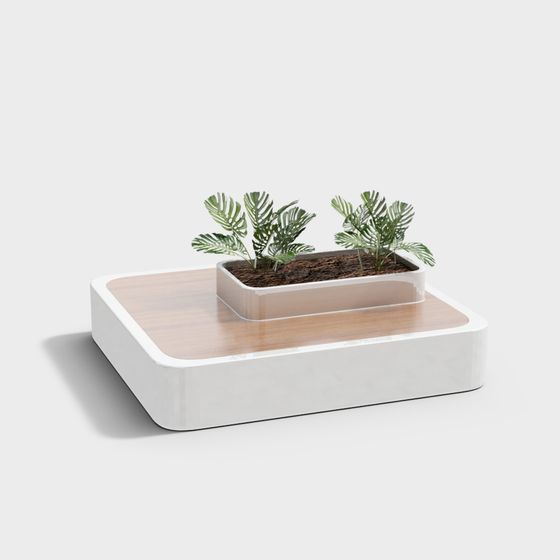 Elegant Minimalist Desktop Plant 3D model
