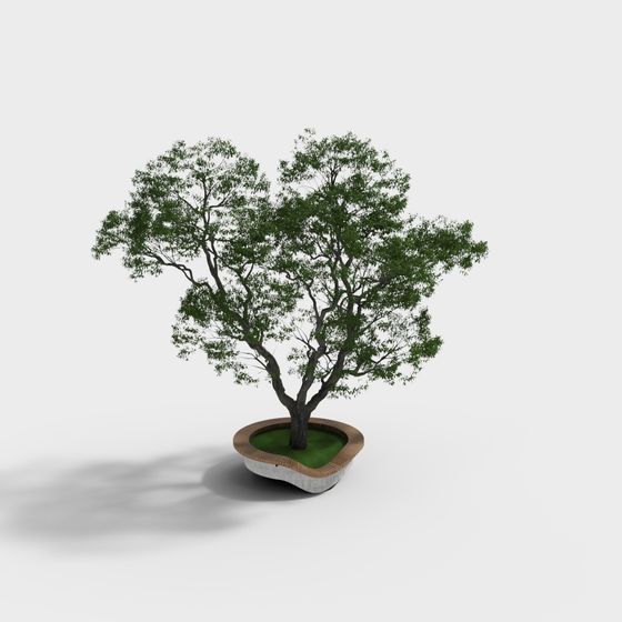 Vibrant Tree 3D Model for Urban Spaces