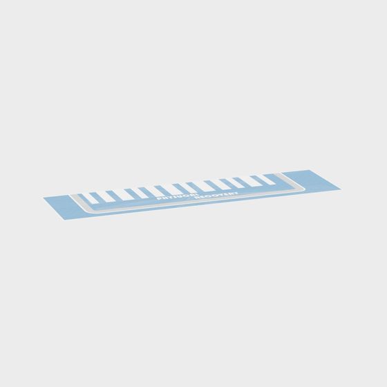 Physical Recovery Ruler 3D model