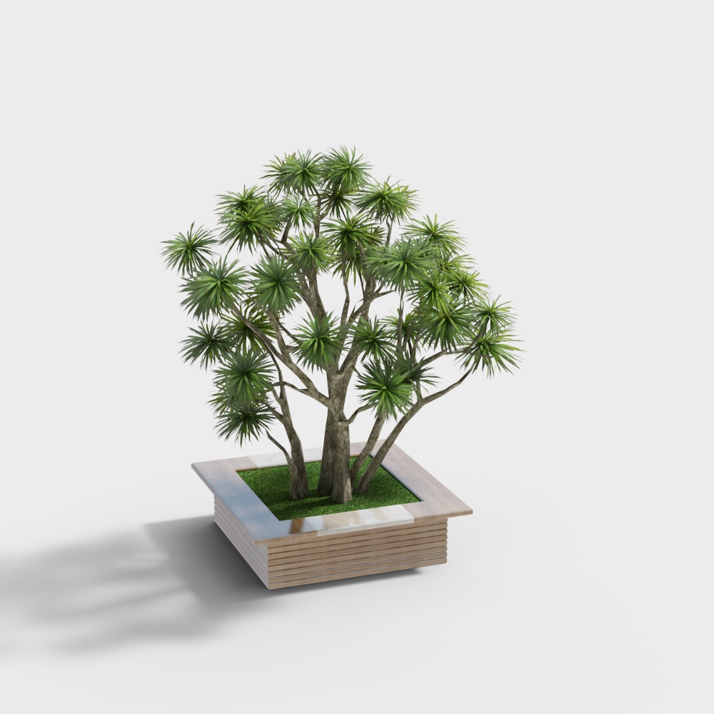 Baum Pool Blumentopf Sitz