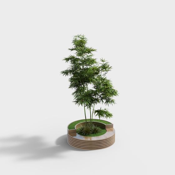 Charming Bamboo Potted Plant 3D model