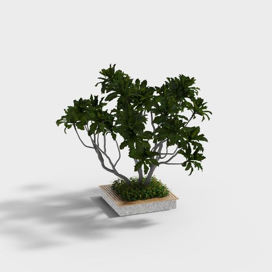 Urban Oasis 3D model Tree for Creative Projects