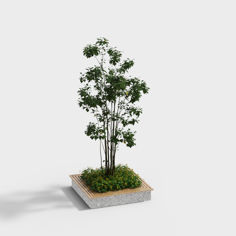 Sièges autour de la piscine d'arbre extérieure