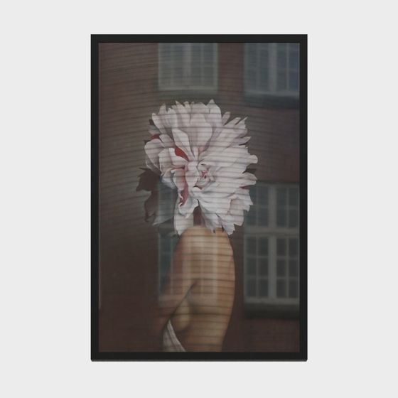 Spring Melody 3D model for Creative Projects