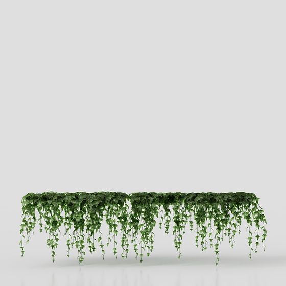 Parete per Vasi di Piante