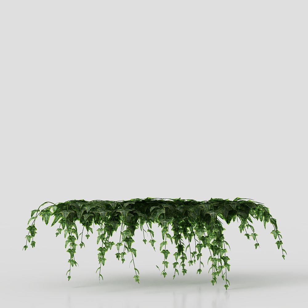 Plant potting/plant wall