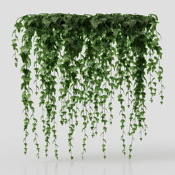 Hanging Ivy 3D Model for Designers and Developers
