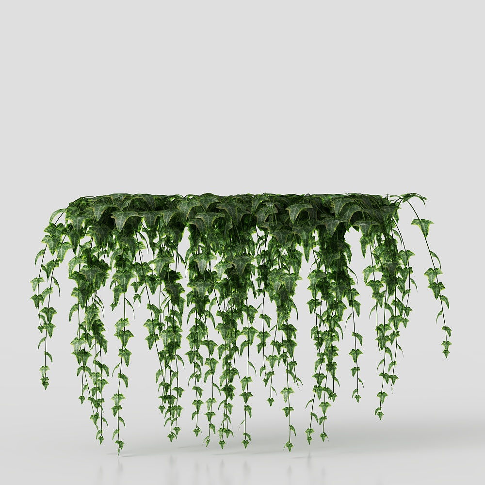 Plant potting/plant wall