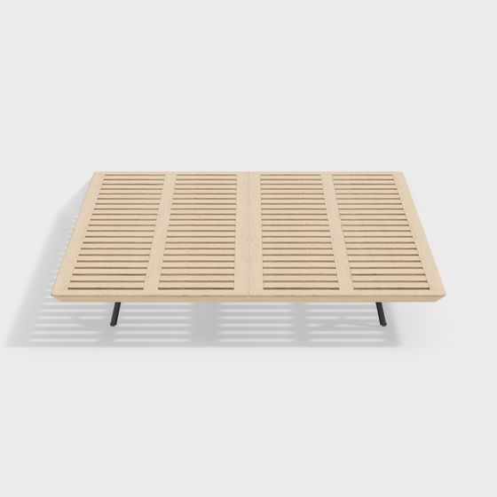 Modern rib cage