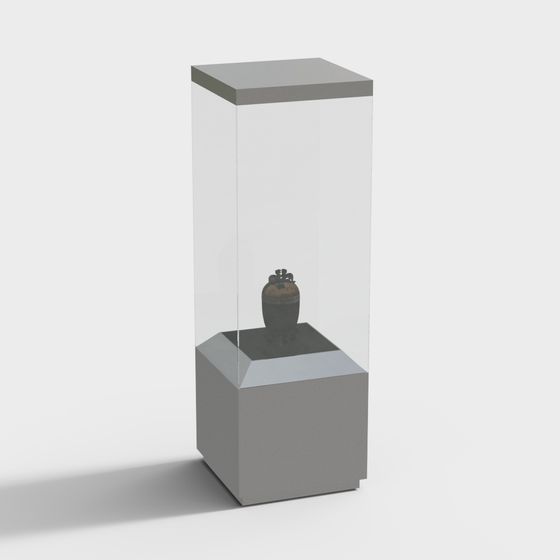 Elegant Museum Display Cabinet 3D model