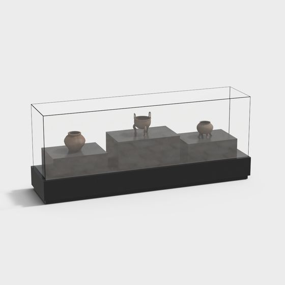 Museum Display Case 3D model