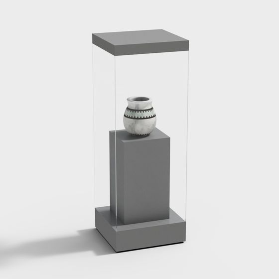 Museum Display Case 3D model