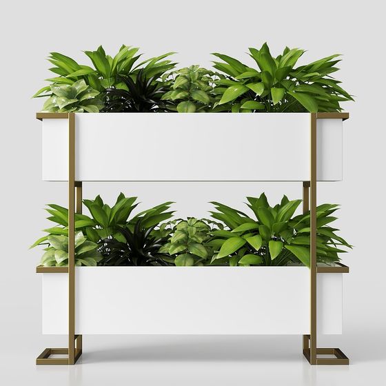 Hộp hoa cho cộng đồng hiện đại