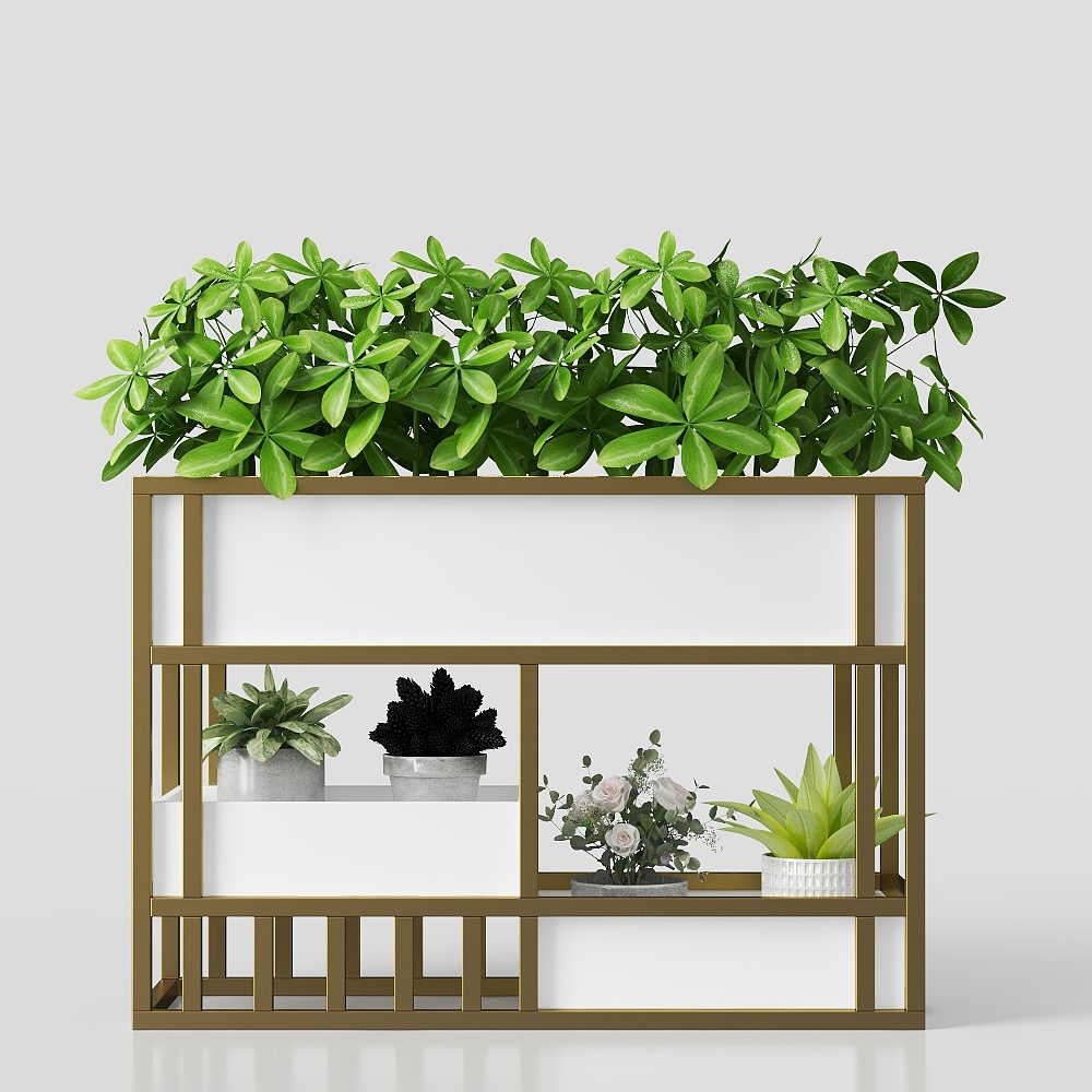 현대적인 정원 꽃 박스