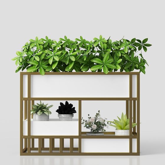 현대적인 정원 꽃 박스