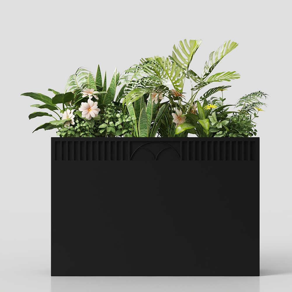 Street simple bonsai