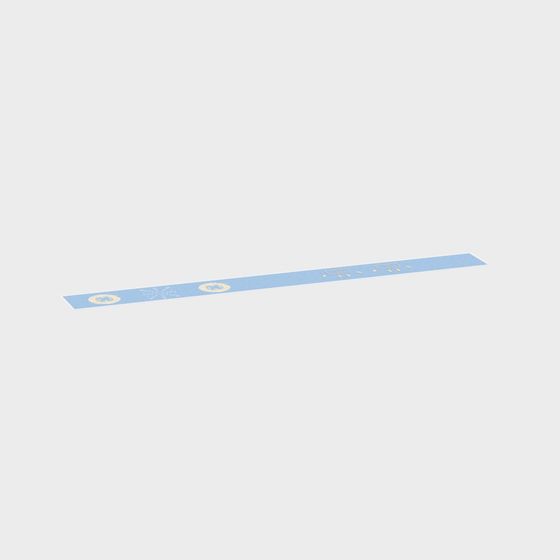Low Poly Ruler 3D Model for Designers