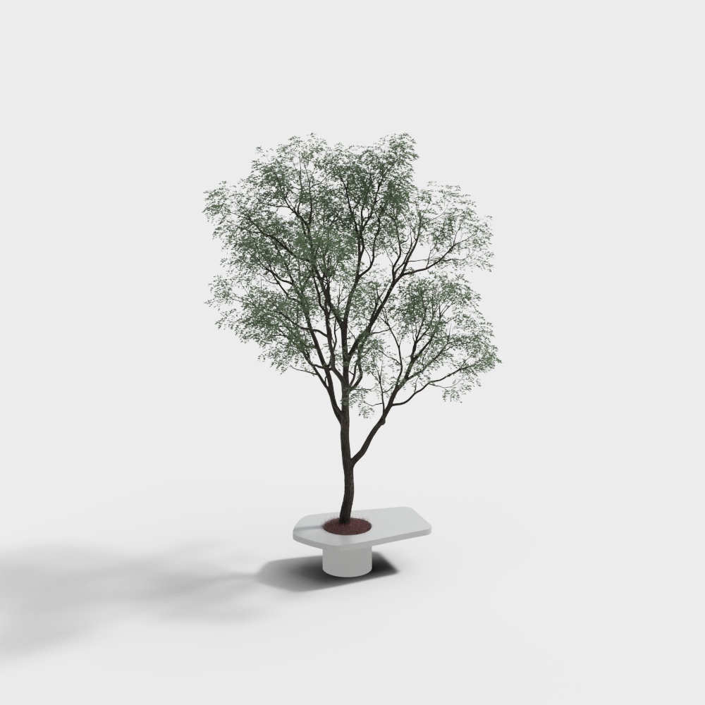 tree pool outdoor chair