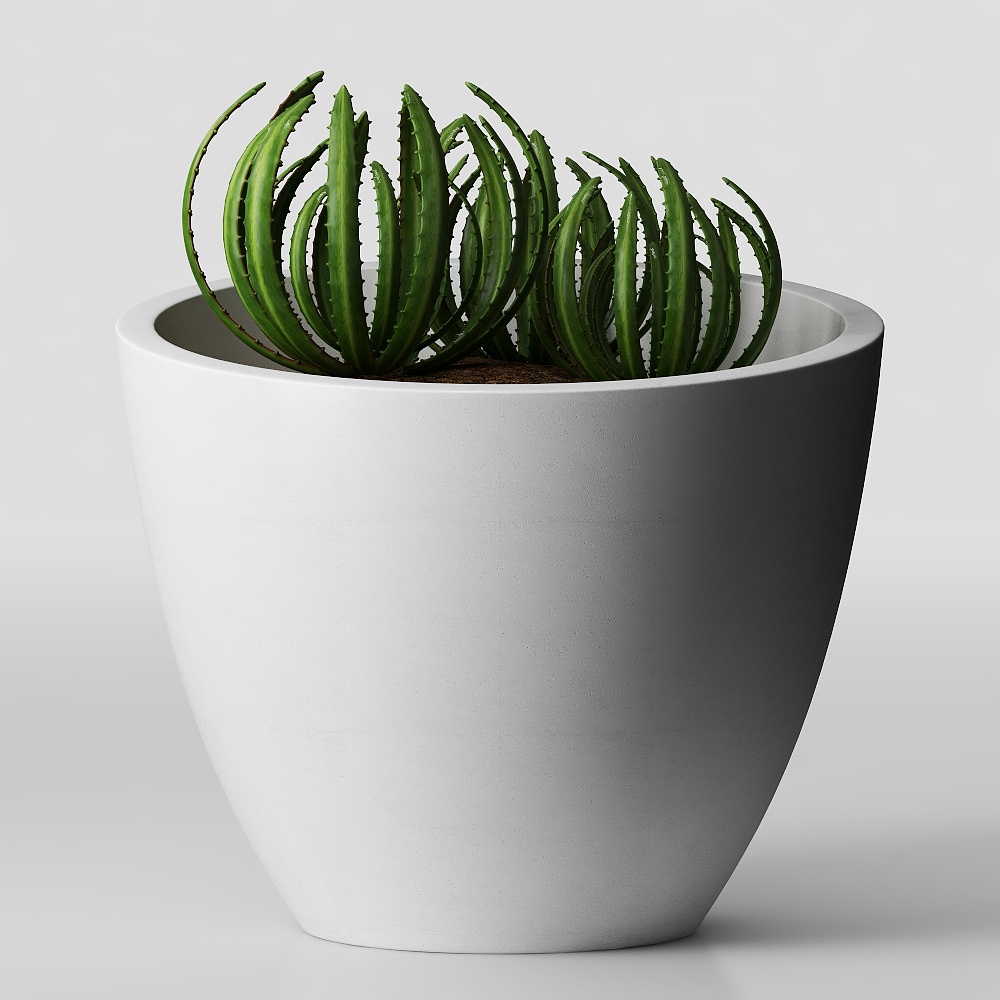 Aloe vera potted ornaments