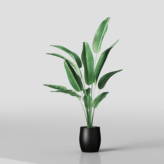 Stylish Indoor Green Plant 3D Model for Modern Spaces