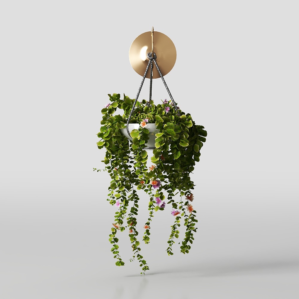 Suspended Green Plant 3D Model – Lush Natural Details