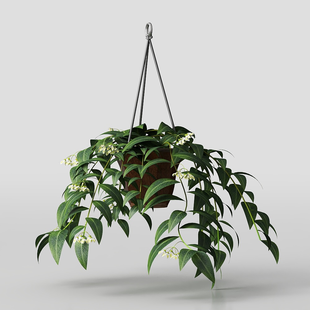 White-veined peppergrass hanging potted plant