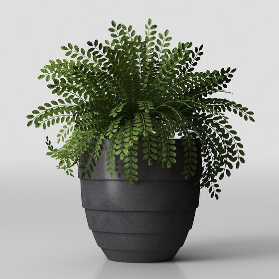 Urban Oasis Plant 3D Model
