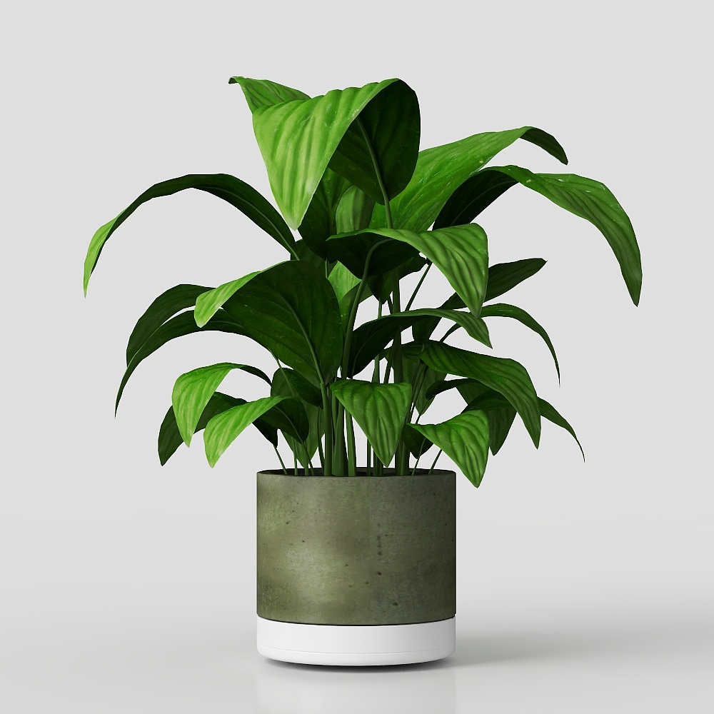 White palm potted plant ornaments