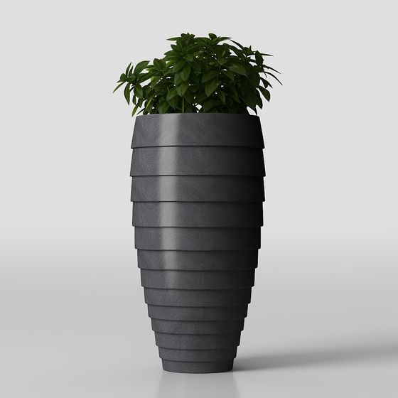 зеленые растения