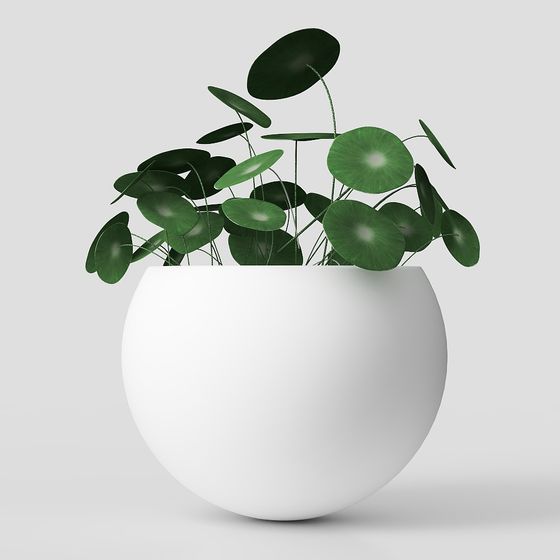 Round Leaf Plant Pot 3D model