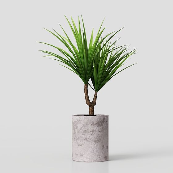 Urban Green Plant 3D model for Designers