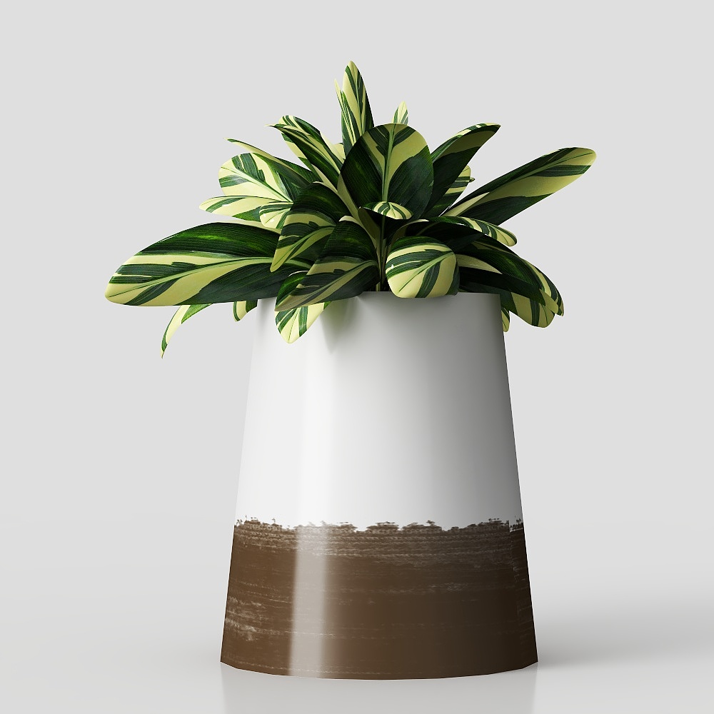 トラランの鉢植え装飾