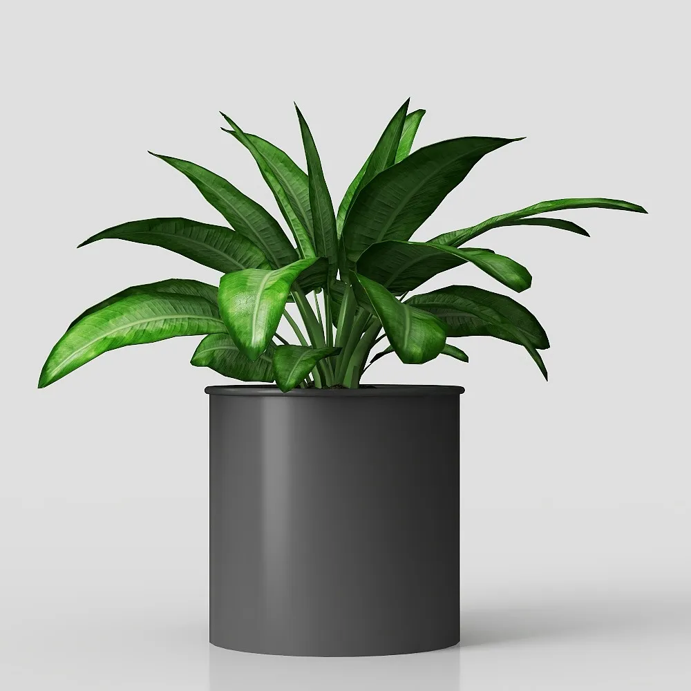 Pflanzenumtopfen, image size:1000x1000