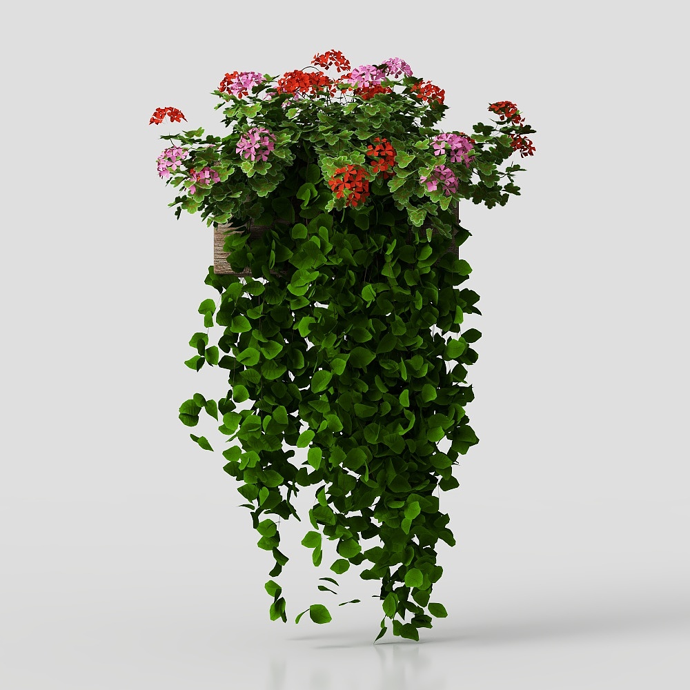 ivy potted plant