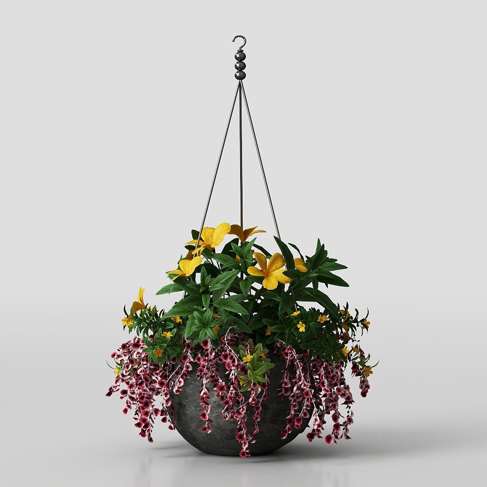 Plante en pot d'onagre