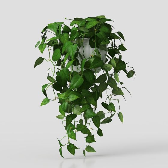 Hanging Plant 3D Model for Designers and Developers