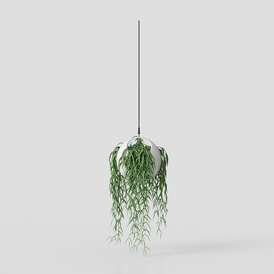 Hanging Plant 3D Model for Vibrant Interiors