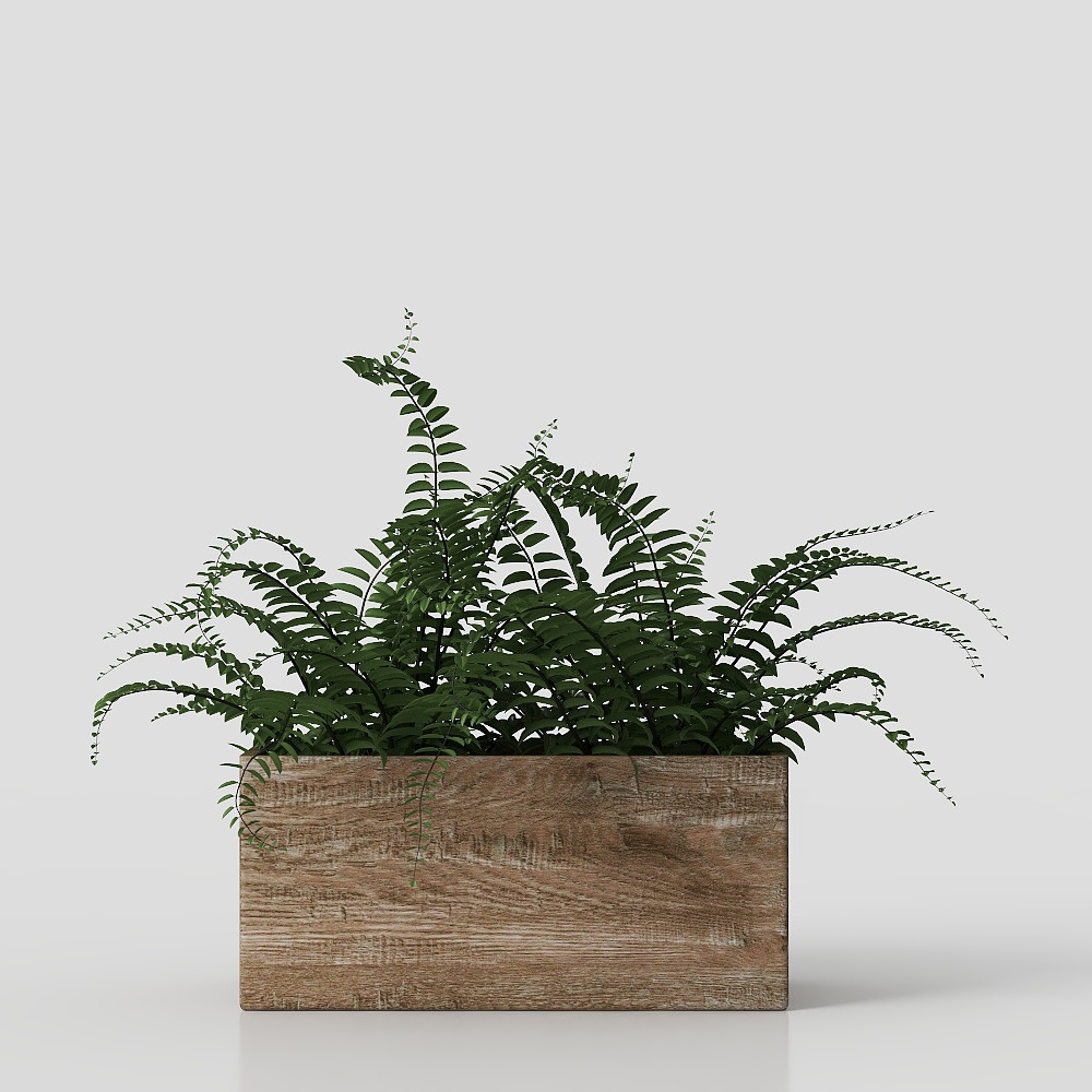 Bồn trưng bày gỗ Guanzhong