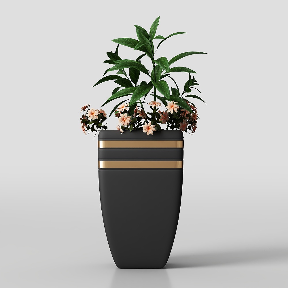 Chậu cây gỗ grouper và rễ son