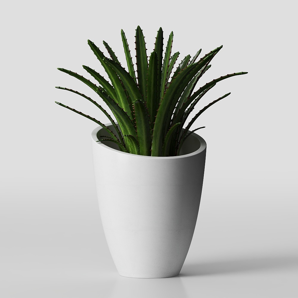 Desert Oasis Potted Plant 3D Model